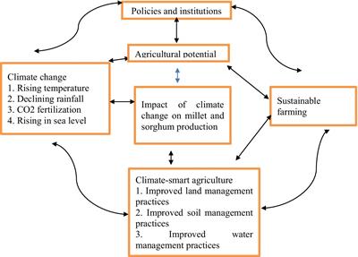 Reducing vulnerability to climate change among millet and sorghum farmers in Ghana: interrogating the contribution of climate-smart agriculture in northwestern Ghana